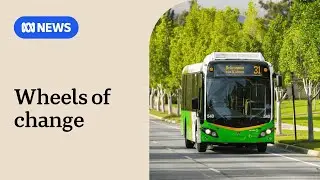 Sunday buses to run hourly until 2pm after increase in weekend patronage | ABC NEWS