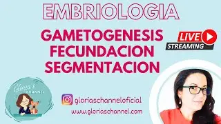 Curso de Repaso de Embriología: Clase 1