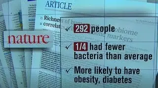 Good gut bacteria can help with controlling weight, inflammation