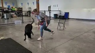 Sirius plays 