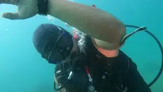 Johor Pulau Tinggi fun dive day trip柔佛丁宜岛潜水之旅