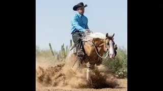 2021 Cactus Reining Classic  Wimpys All In, aka 