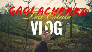 Gaglacherra Tea Estate || Vlog || creative block