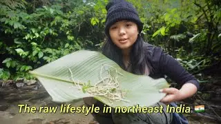 Collecting wild Vegetables with my mother🌱🌽 : The raw village lifestyle in Arunachal Pradesh🇮🇳🍃
