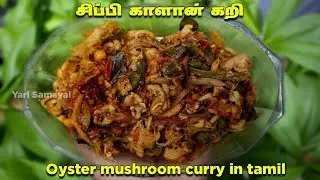 இறைச்சி கறியை மிஞ்சும் சுவையில் காளான் கறி | Oyster mushroom curry in Tamil | healthy Kalan curry