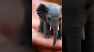 A small tiny elephant on hand #shorts #youtube#elephent