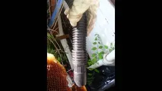 Live honey bee removal 2109098858 San Antonio Tx