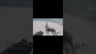 MY FIRST EVER DIAMOND MULE DEER LIKE AND SUB FOR MORE