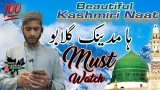 Must Watch || Beautiful Kashmiri Naat || Ha Madinek Gulabo || Recited by Faizan Mushtaq Wani