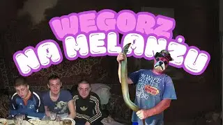 PANI KR&Oacute;L - WĘGORZ NA MELANŻU #cypis #kapitanbomba