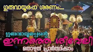 ഗുരുവായൂർ ക്ഷേത്രത്തിലെ ശീവേലിയും പ്രഭാത കാഴ്ച്ചകളും | 08/01/2026 | Guruvayur Temple Morning Shiveli