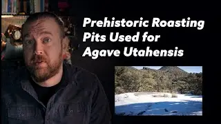 Ancient Agave Utahensis Roasting Pits