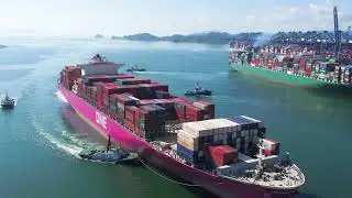The Drifting Lion: Eastern Aesthetics at 0.02 Millimeters Meet a World-Class Port