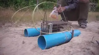 easy snake trap - Simple python snake trap make from pvc pipe