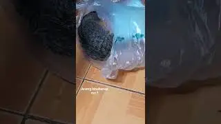 ano hanap mo?