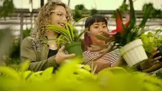 Meet Planted Design! Plant-mavens of East Bay, California