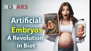 Artificial Embryos  A Revolution in Biot o