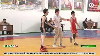 Республиканский турнир по вольной борьбе на Кубок Главы Ингушетии