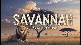 Enchanting African Music | Savannah Relaxation & Meditation