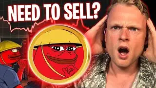 Is PEIPEI About to CRASH?! Urgent Update for Holders