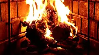 Real Fireplace with Crackling Noises and Wet Wood Sound