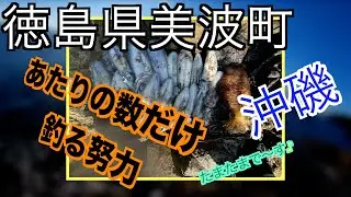 １月１６日釣行〜😁　あたりの数だけ釣る努力？【ヤエン釣り】【自作ヤエン】【沖磯】