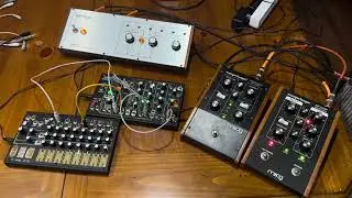 Make Noise&rsquo;s O-Coast & Friends