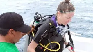 World's Best Diving: Dive Paradise