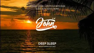 Sleep with God's Word - Judges + John + Leviticus with Rain for Deep Sleep