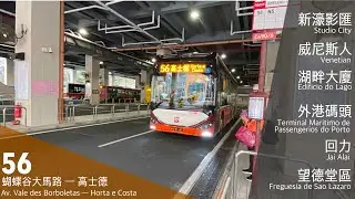 【石排灣孖寶1】澳巴 TCM 56｜蝴蝶谷大馬路 循環 高士德｜友誼大橋特快