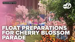 National Cherry Blossom Festival Parade floats get final touches