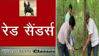 Red Sanders-Exam to the point #Redsanders #Redsandalwood #Examtothepoint