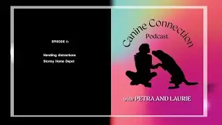 Episode 6: Handling distractions/error; Stormy Home Depot