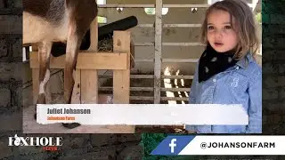 Juliet Journal | Foxhole LIVE #005 | 5-18-2020