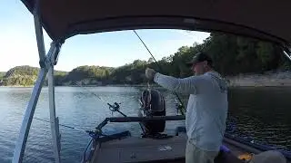 War Eagle Crappie