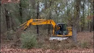 Debt Free land clearing day 3!