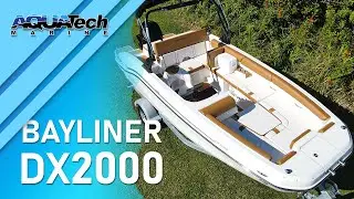 2022 DX2000 (White and Chestnut) - For Sale