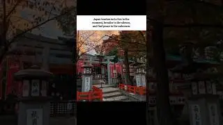 #日本 #quotes #japantravel #trendingjapan #lifeinjapan #travel #peace #japan #love #japanteam