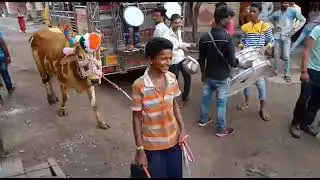 Gadana bail pola 2019