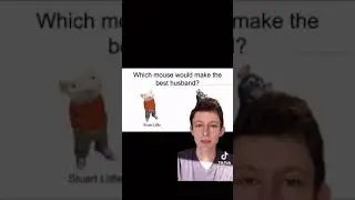 The video is a comparison of Stuart little and Remy the rat as husbands w audio from Mii! audios