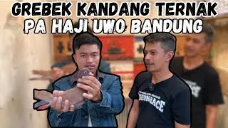 GREBEK KANDANG TERNAK MILIK PA HAJI UWO BANDUNG || CIKAL BAKAL OLYMPUS NSF DARI SINI⁉️