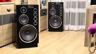 Dynamic Speaker HX100 ~ Unitra Tonsil ZgB 100-8-50