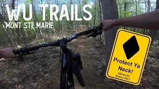 This jump trail is AMAZING! - Wu Trails, VELOMSM 2023 #mtb #vtt #msm #wutangclan