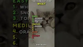 Only a true cat lover can get 8/8 on this quiz!