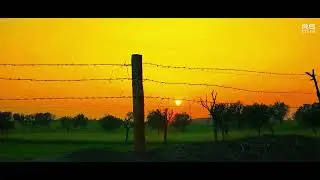 NATURE CINEMATIC VIDEO ⚡❤️😍 #nature #bgm #edit