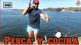 pesca de pejerrey de mar, chile 2022|Chile sea silverside fishing 2022