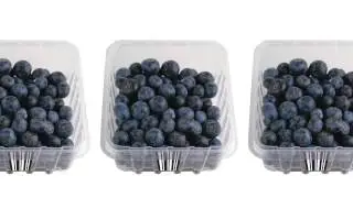 Food Traceability & Recall Management: Paragon Data Systems Provides A Real Solution