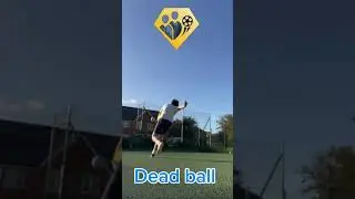 FIFA play styles