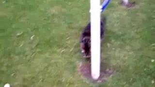 Wiep un peu d&eacute;cha&icirc;n&eacute;e