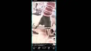 PREVIEW 2 They Took My Fuckin Hot Dog Meme 
